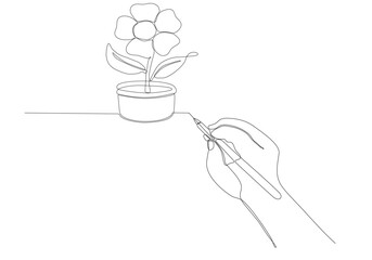 continuous line of hand and pen drawing flower vector illustration