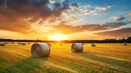 Poster large rolls of hay in the field after harvest. rural landscape with rolled hay in ripe wheat field.sunset,sunrise background © adha