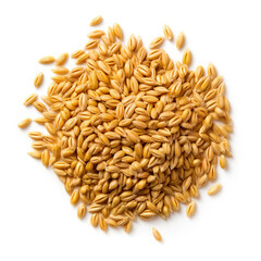 Obraz premium Barley Grains on White Background