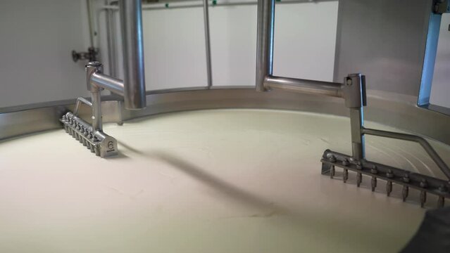 Synchronized steel slicers cutting cheese in industrial vat at cheese factory
