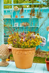 Fototapeta na wymiar summer flowers in the pot