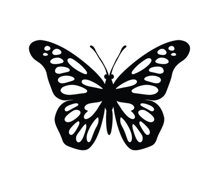 butterfly silhouette set. butterfly vector illustration. butterfly  isolated vector on white background.