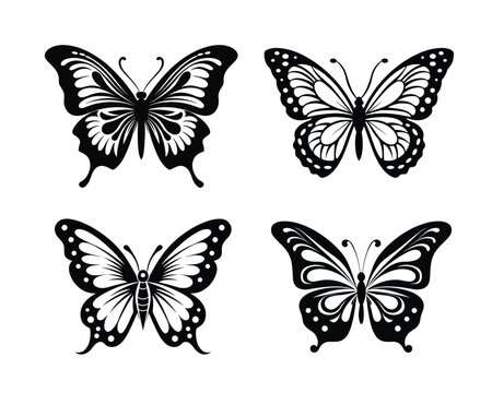 butterfly silhouette set. butterfly vector illustration. butterfly  isolated vector on white background.