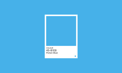 Trendy Color 2024  Picton Blue Swatch Palette. Color hex swatch palette design idea.