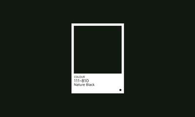 Trendy Color 2024  Nature Black Swatch Palette. Color hex swatch palette design idea.