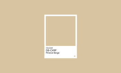 Trendy Color 2024  Mineral Beige Swatch Palette. Color hex swatch palette design idea.