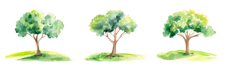One tree painted in watercolor,  A set of trees - obrazy, fototapety, plakaty