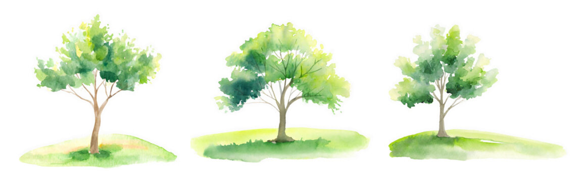 One tree painted in watercolor,  A set of trees