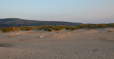 Fototapeta na wymiar Beach grass on dune landscape at Barmouth Wales, during early evening light