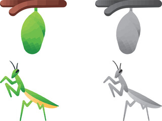 Cute cartoon insects.isolated illustration icons set.