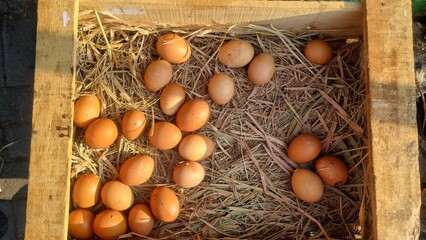 Chicken eggs laying on hay nest with selective focus. Fresh chicken eggs in wooden basket on the...