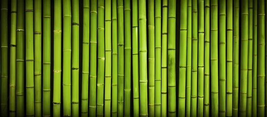 Foto op Canvas Natural green bamboo background. © Riz