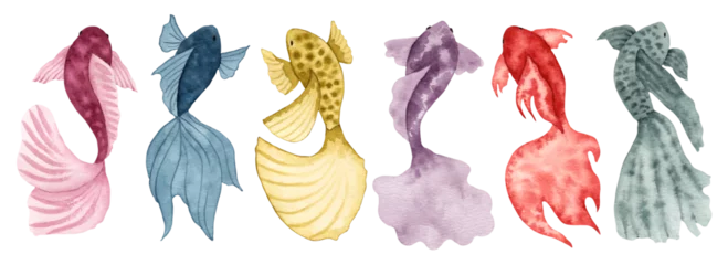 Poster Collection of watercolor fish.Simple, stylized style.Solid color sea animals.Underwater world of marine wildlife for clipart.Ocean and sea.Hand drawn illustration. © JennyaJA