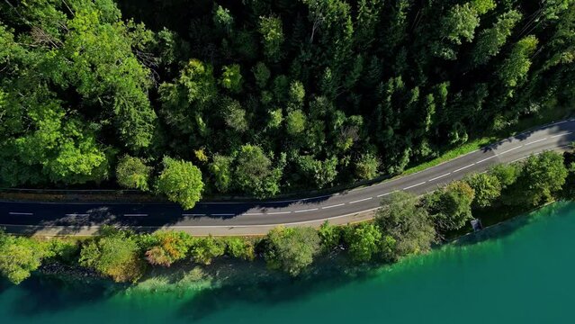 Top down drone shot following a road on the coast of lake Attersee, sunny Austria