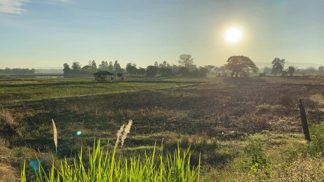 Imagine an image of a serene rural landscape at dawn A vast green field stretches out, covered in soft morning mist The sky is painted with hues of blue and orange as the sun begins to rise Trees stan