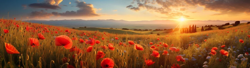 Zelfklevend Fotobehang wide background of poppy flowers field © digitalpochi