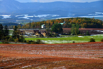 北海道・彩の大地