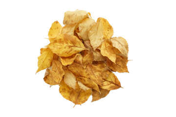 落ち葉 枯れ葉を集めた俯瞰画像