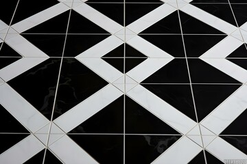 Elegant Black and White Geometric Tiled Floor