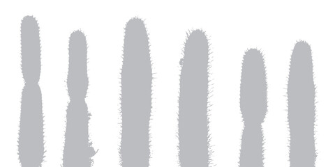 Gray cactus shadow on white background. Tropical plants, desert, vector illustration - obrazy, fototapety, plakaty