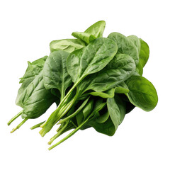 spinach Studio Shot Isolated on transparent Background, Food Photography,