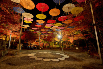 ライトアップされたお寺の境内