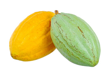 Cocoa isolated on white background