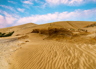 Fototapeta na wymiar Amazing giant sand dunes in nearly perfect weather
