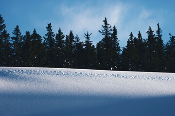 A snow covered roof of the Oppegardsetra Summer Farms. Image from the Oppegardsetra Round Trip up in the Totenaasen Hills, Norway, in winter. - obrazy, fototapety, plakaty