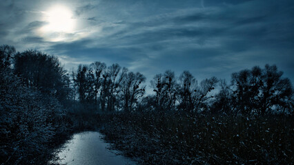 Naturschutzgebiet bei Nacht. Wald Bäume um ein Teich. Wolken und Mond am Himmel. Düsteres Foto mit Baum Silhouette