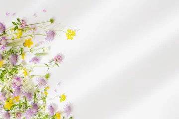summer wild flowers on white paper background © Maya Kruchancova