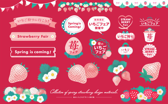 いちご狩り・いちごフェアにぴったりの果実・花・葉を描いた春の白いちごのフレームとイラスト素材のセット
