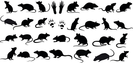rat silhouettes in various poses on white background, perfect for pest control, Halloween graphics, vector illustrations. Includes running, sitting, standing rats and footprints