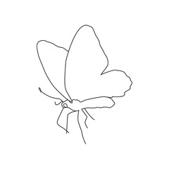 Butterfly continuous One line drawing. Vector illustration of various insect forms in trendy outline style