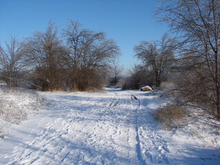 The landscape of a snow-covered road on the edge of a forest strip that goes deep into the forest seems to rise into the blue sky.