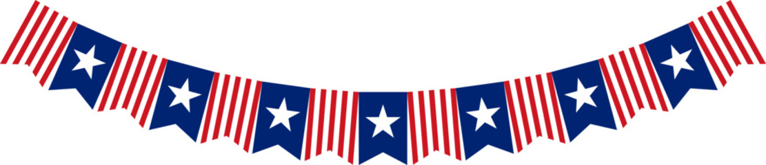USA Flag Vector