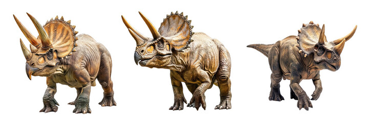 Collection of PNG. Triceratops isolated on transparente background.