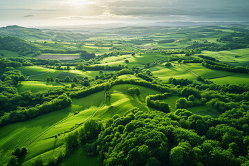 angle shot of green landscape