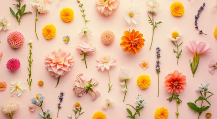 Foto op Plexiglas  flower is set on a pink background. © Olga