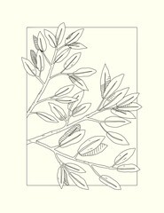 Botanical line art illustration, hand drawn with minimalist frame