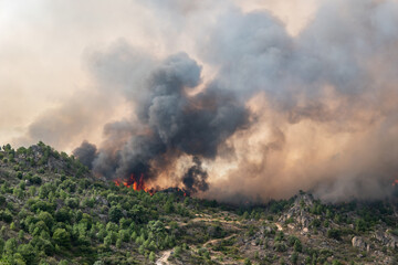 Desastre ambiental: Incêndio devastador e labaredas imponentes consumem o monte, deixando uma espessa nuvem de fumaça no ar