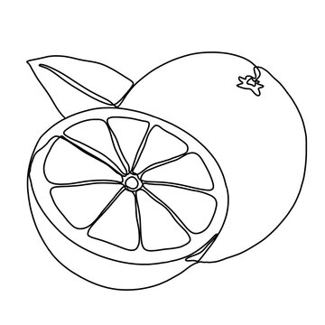 recommend clip art: Orange continuous single line art drawing. Orange fruit minimal art style. Orange fruit continuous line art illustration