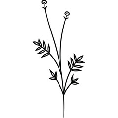 Wildflower Line Art Drawing