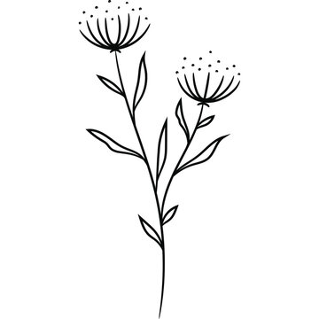 Wildflower Line Art Drawing