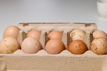 a formwork with organic eggs from a small farm.