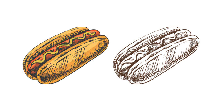 Hand-drawn colored and monochrome sketches of hot dogs isolated on white background. Fast food illustration. Vintage drawing. Great for menu, poster or restaurant background.