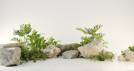 plant and rock on white background