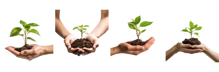 Set of one Hand holding young plant, on a transparent background - obrazy, fototapety, plakaty