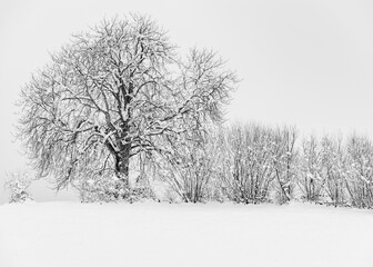 Mostviertel in winter dress