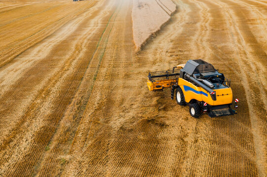 Combine harvester cuts wheat line with blades driving along field upper view. Modern farm machines gather cereals crop at farmland. Wheat harvest in windrows